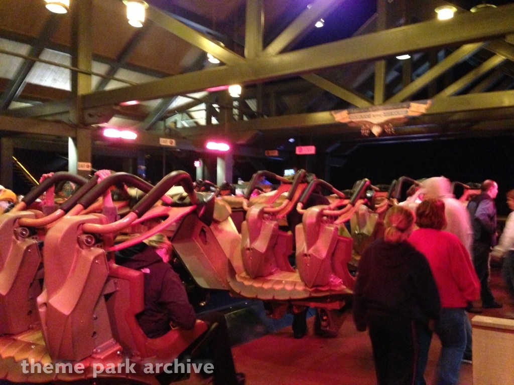 Wild Eagle at Dollywood