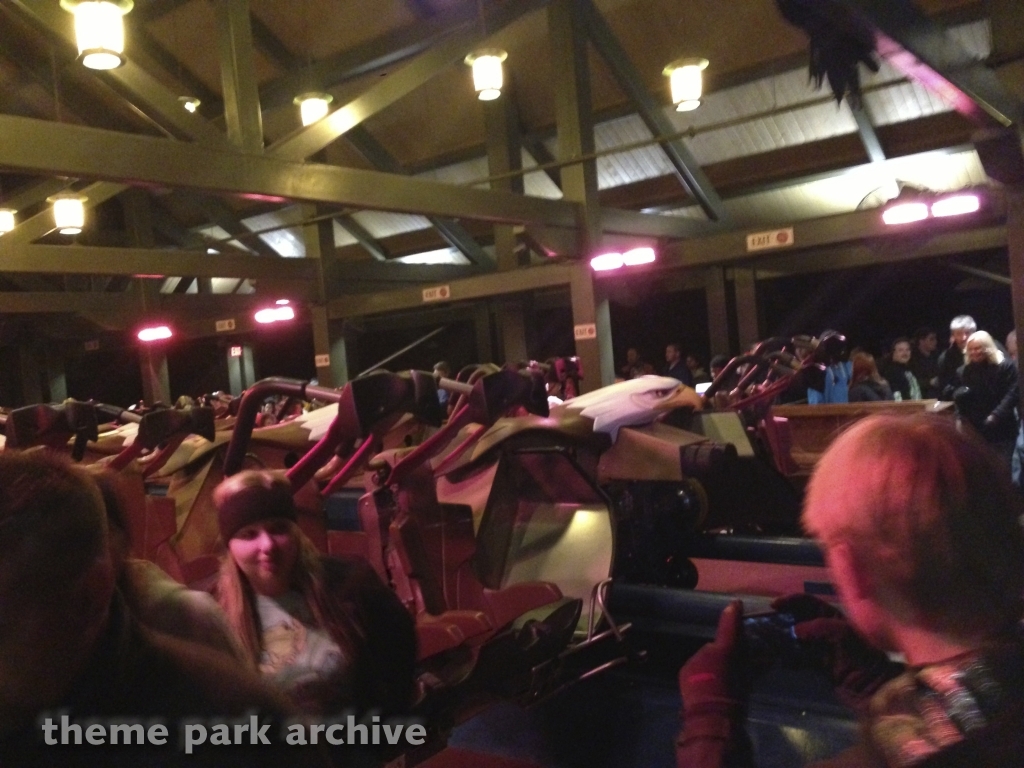 Wild Eagle at Dollywood