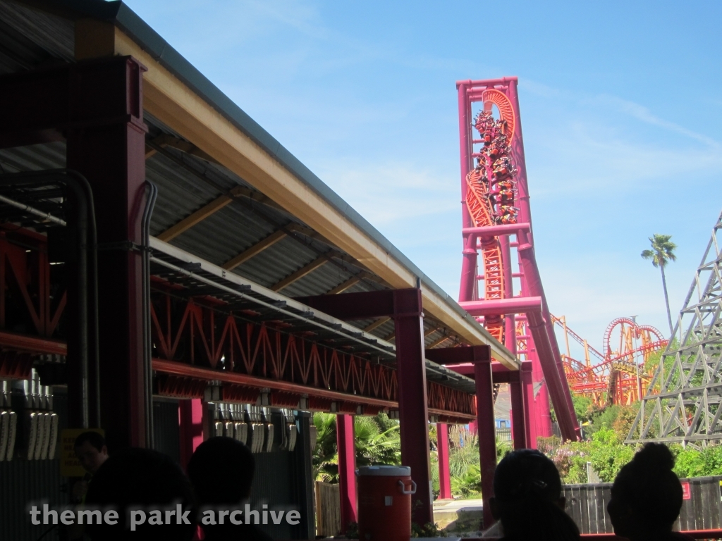 The Flash: Vertical Velocity at Six Flags Discovery Kingdom
