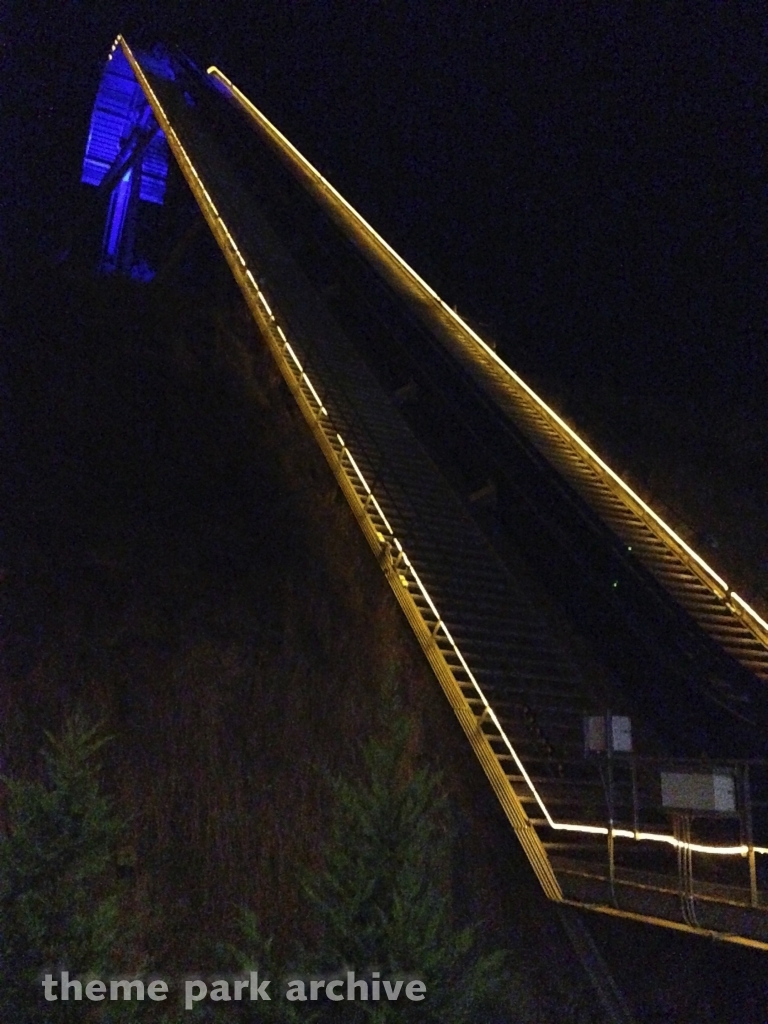 Wild Eagle at Dollywood