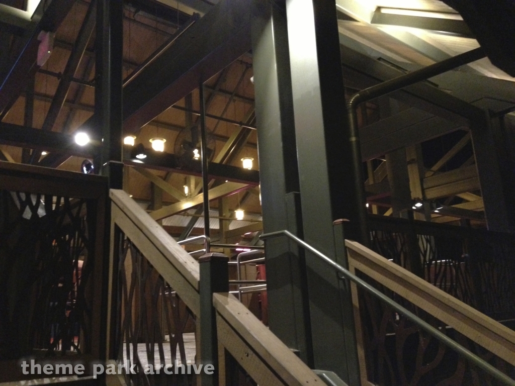 Wild Eagle at Dollywood