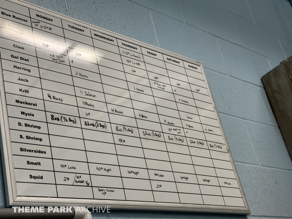 Sharks The Coral Reef at SeaWorld San Antonio