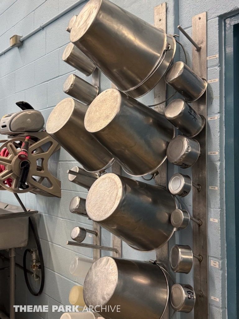 Sharks The Coral Reef at SeaWorld San Antonio