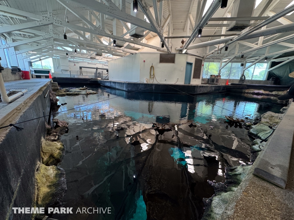 Sharks The Coral Reef at SeaWorld San Antonio
