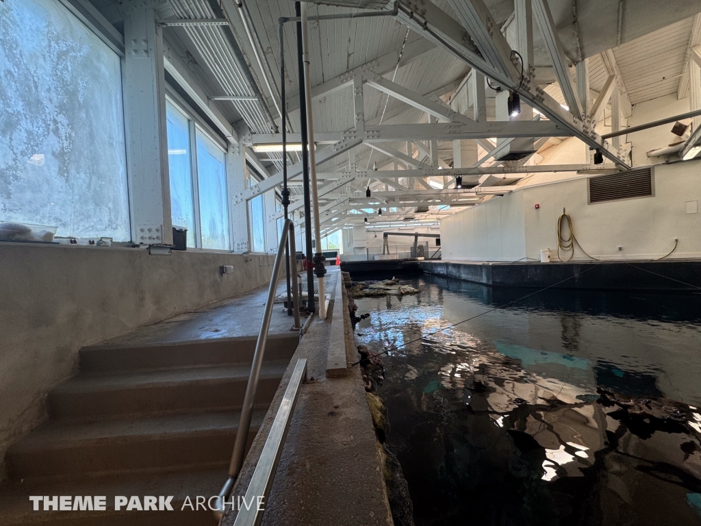 Sharks The Coral Reef at SeaWorld San Antonio