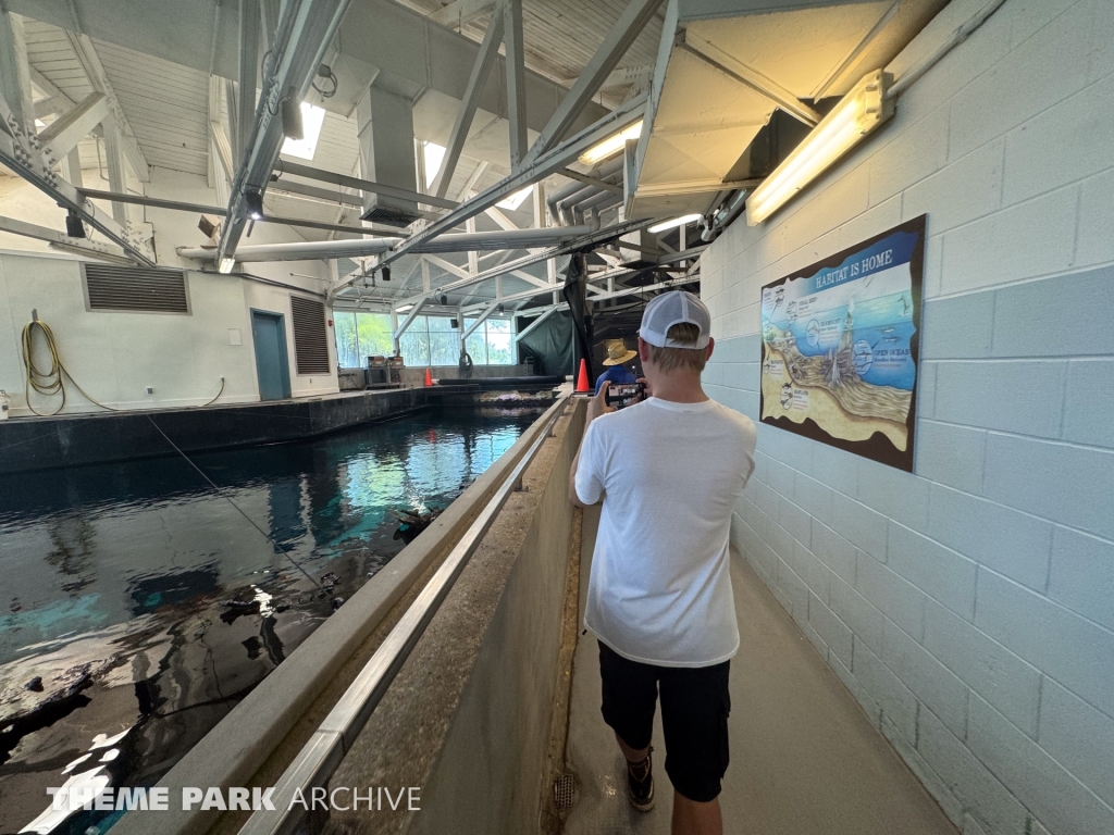 Sharks The Coral Reef at SeaWorld San Antonio