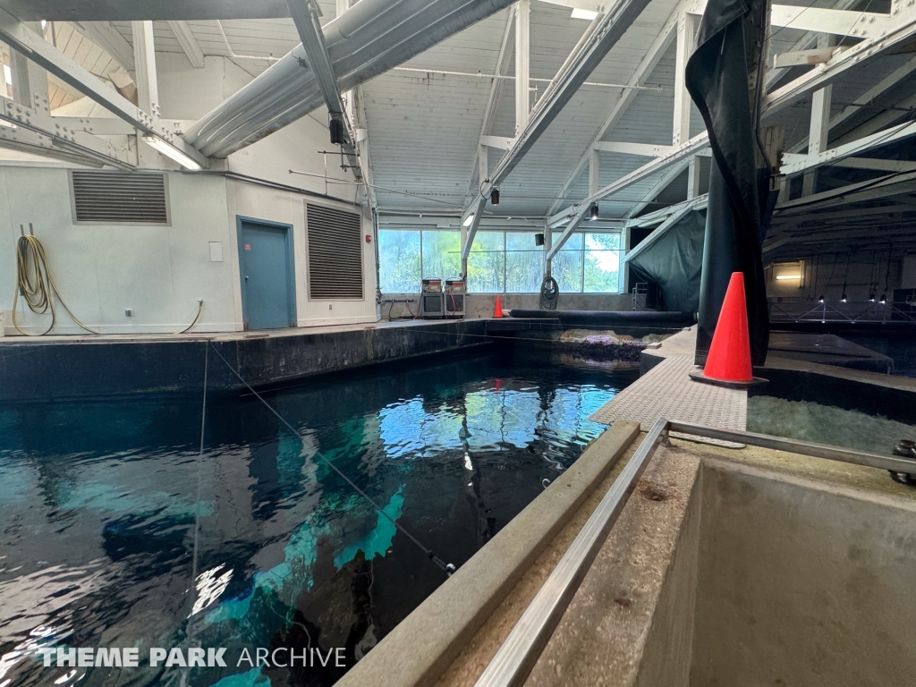 Sharks The Coral Reef at SeaWorld San Antonio