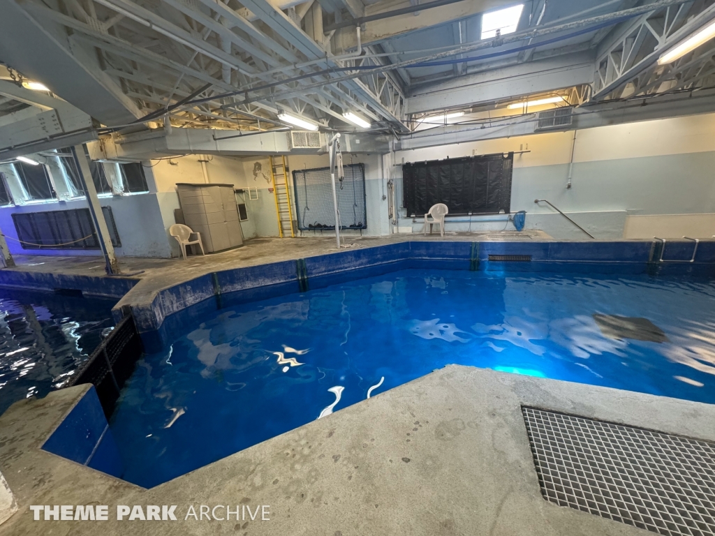 Sharks The Coral Reef at SeaWorld San Antonio