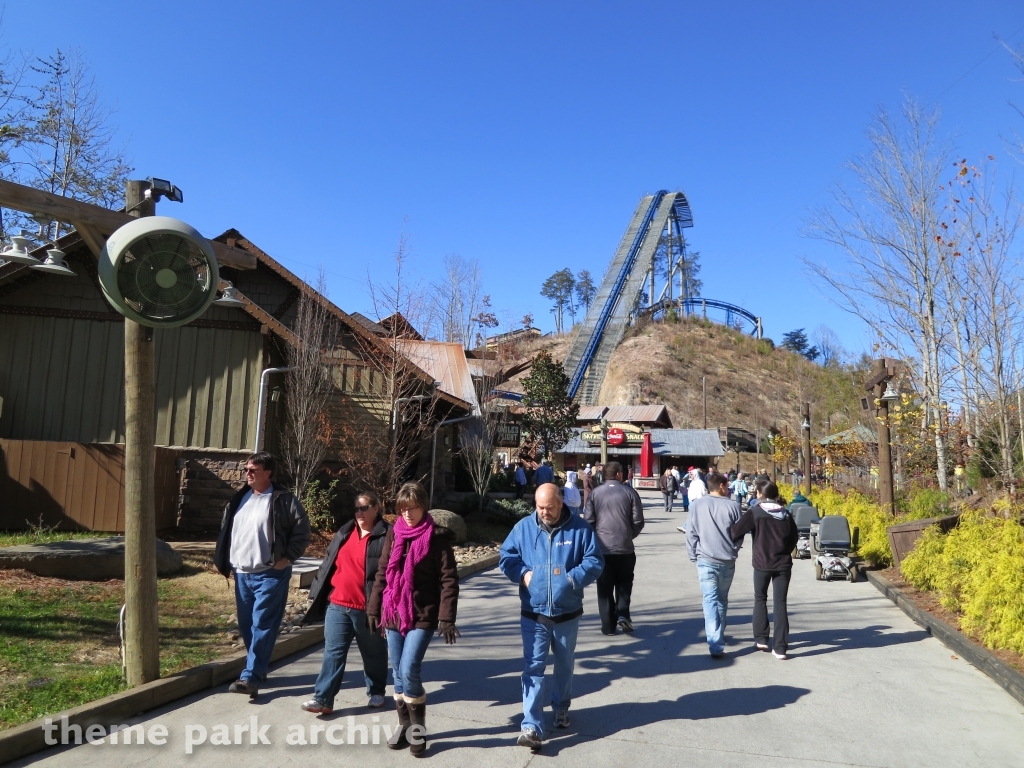 Wild Eagle at Dollywood