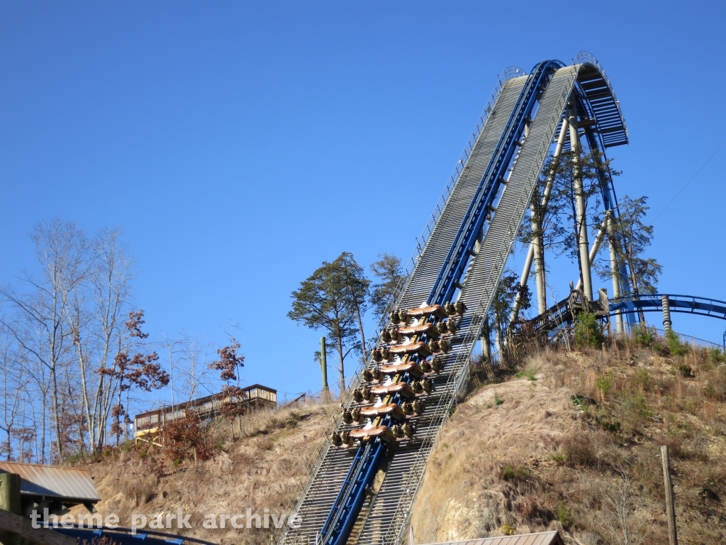 Wild Eagle at Dollywood