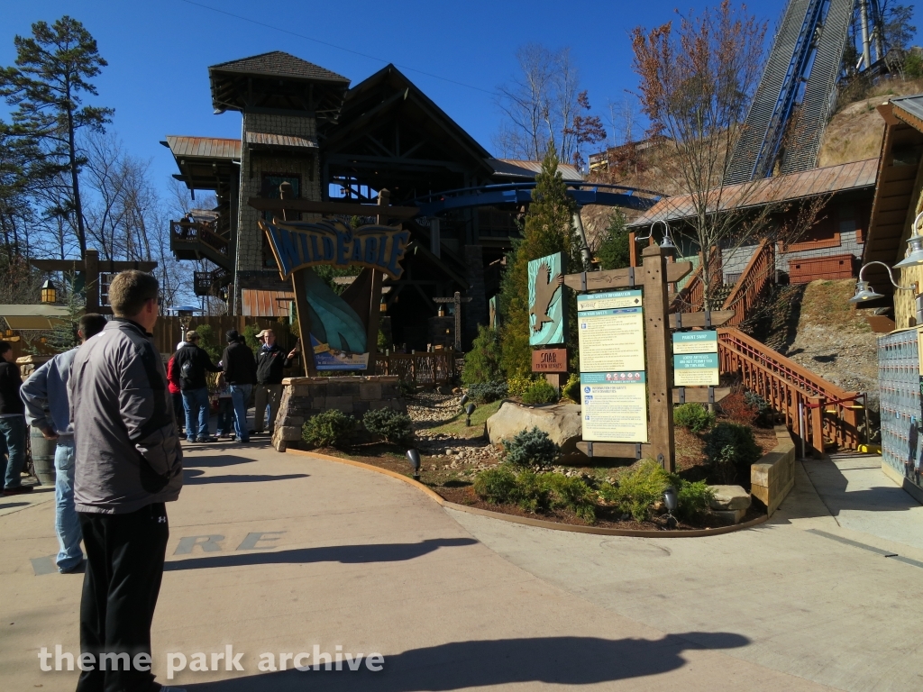 Wild Eagle at Dollywood
