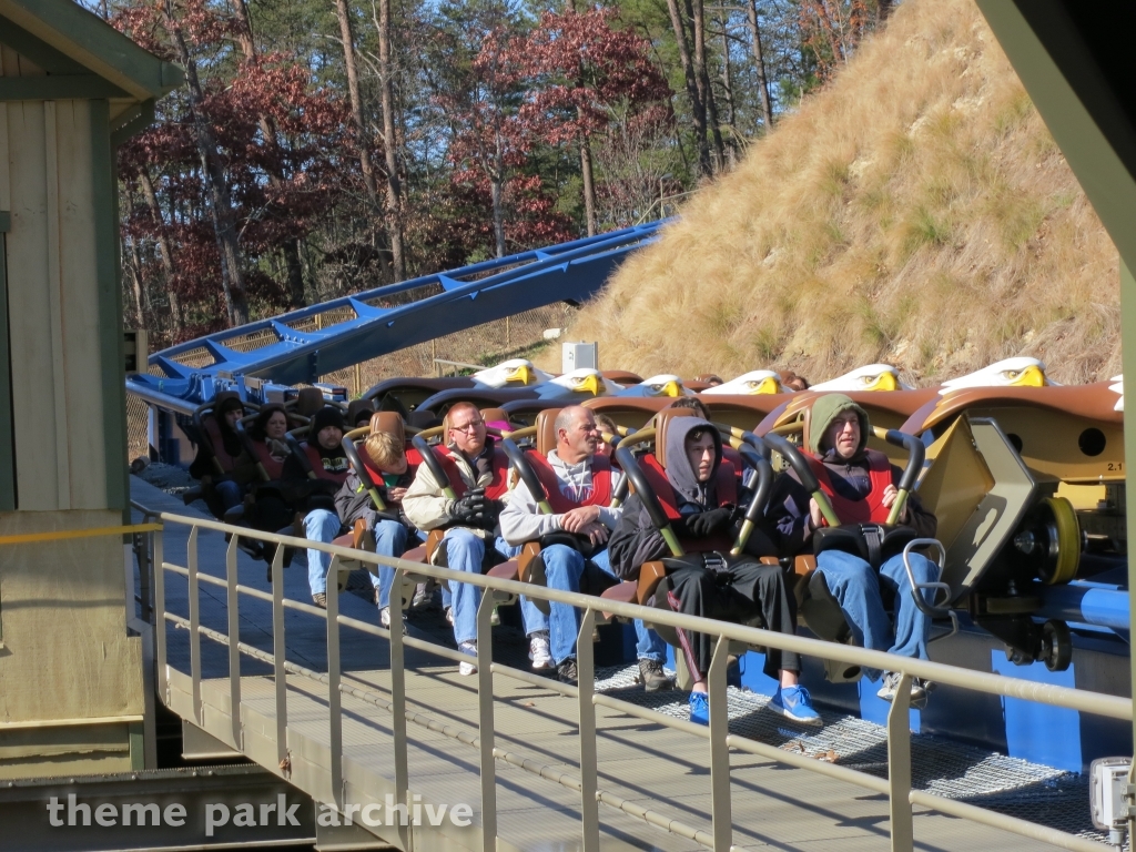 Wild Eagle at Dollywood