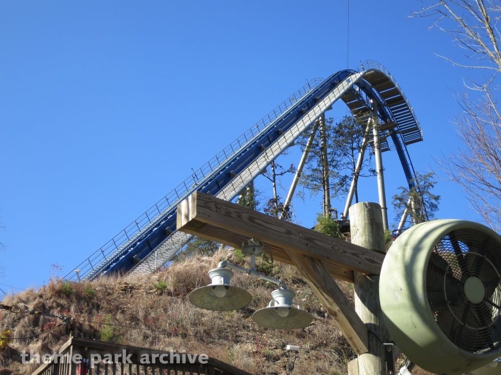 Wild Eagle at Dollywood