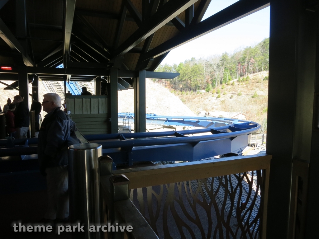 Wild Eagle at Dollywood