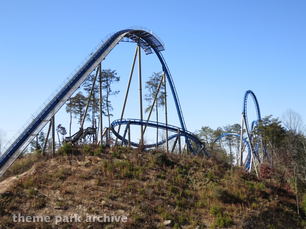 Wild Eagle at Dollywood