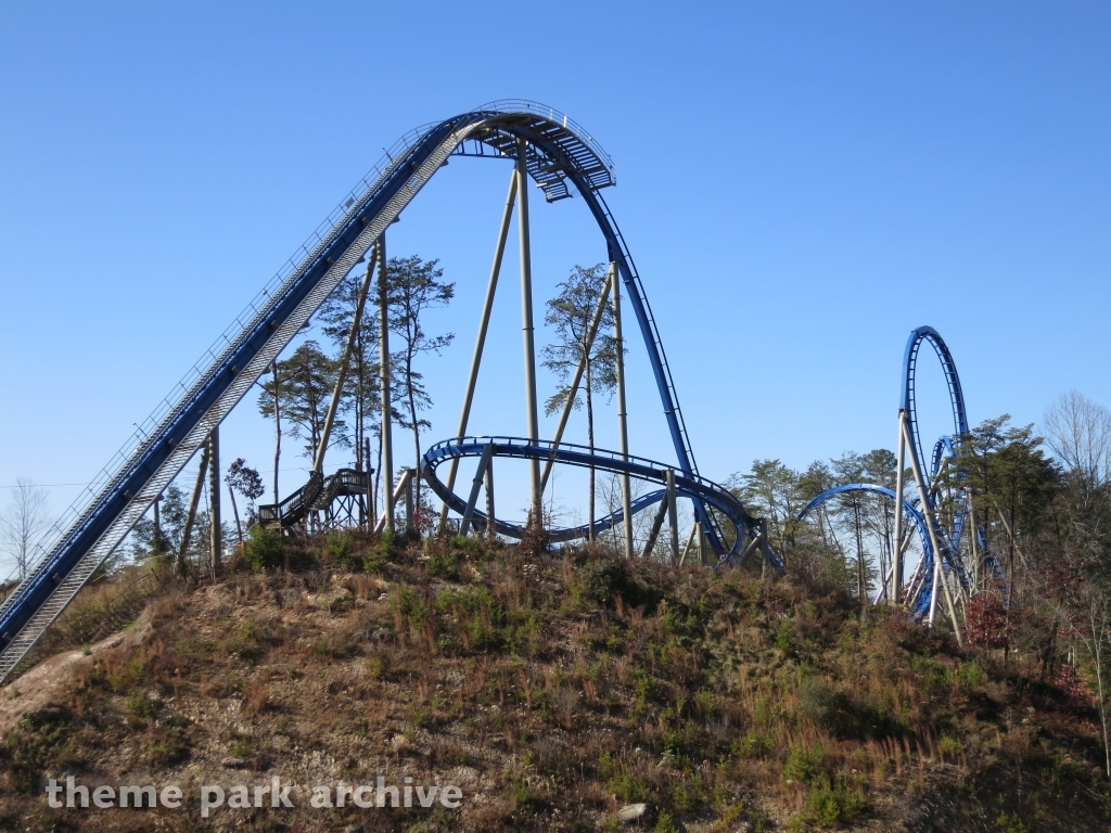 Wild Eagle at Dollywood