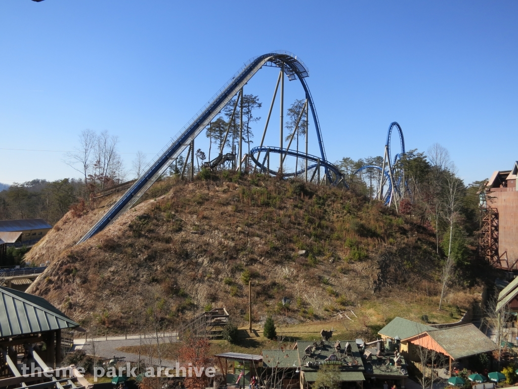 Wild Eagle at Dollywood