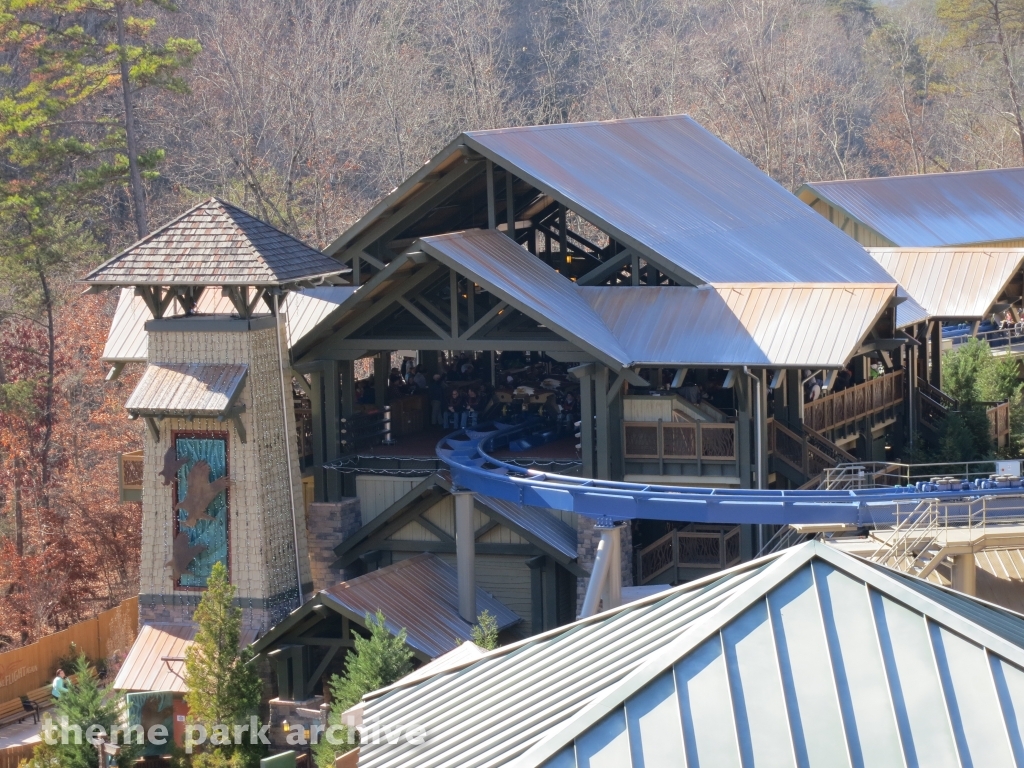 Wild Eagle at Dollywood