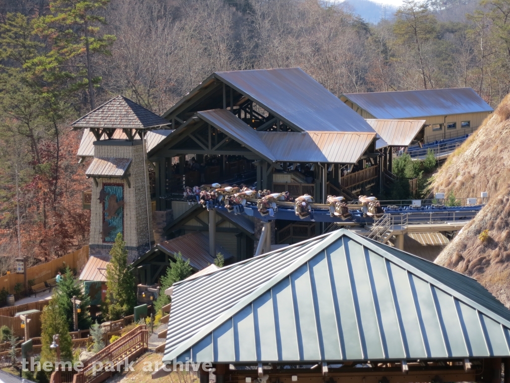 Wild Eagle at Dollywood