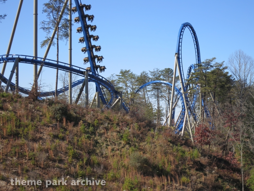 Wild Eagle at Dollywood