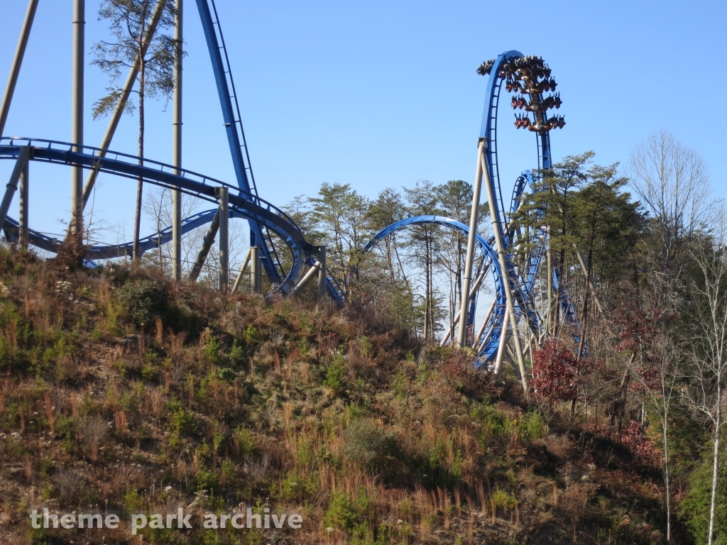 Wild Eagle at Dollywood