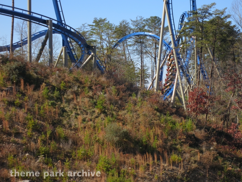 Wild Eagle at Dollywood