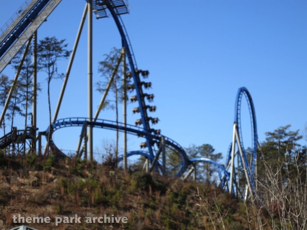 Wild Eagle at Dollywood
