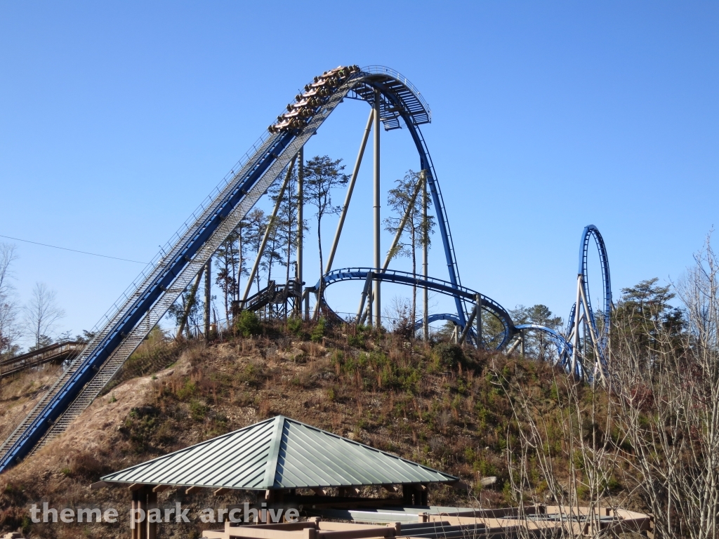 Wild Eagle at Dollywood