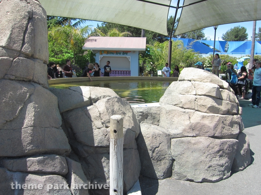 Sting Ray Bay at Six Flags Discovery Kingdom