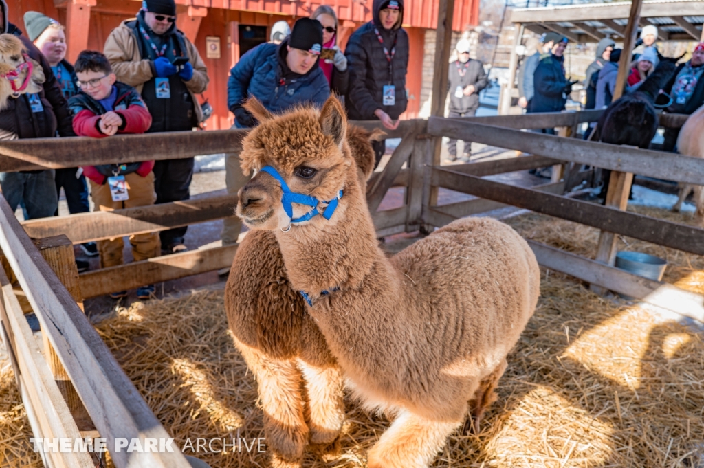 The Barnyard at Cedar Point
