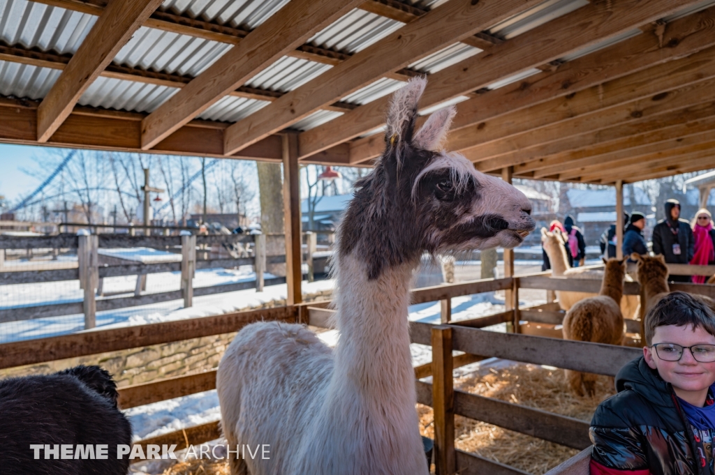 The Barnyard at Cedar Point