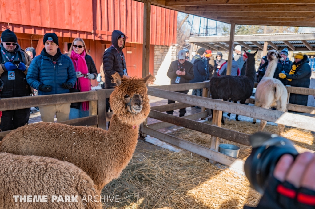 The Barnyard at Cedar Point