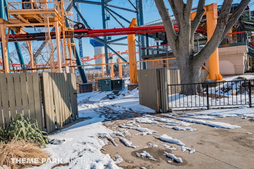 Iron Dragon at Cedar Point