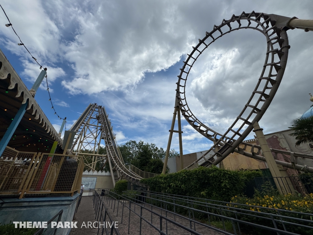 Cobra at Walibi Belgium