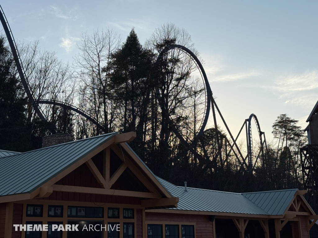 Wild Eagle at Dollywood