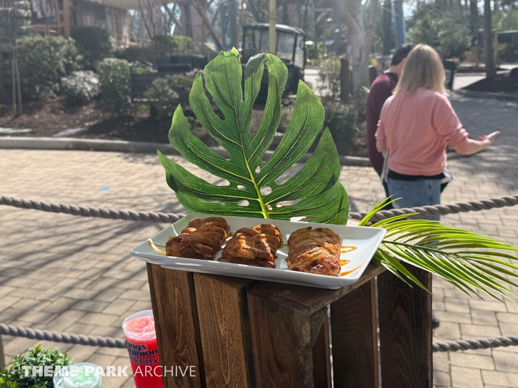 Misc at Kings Dominion