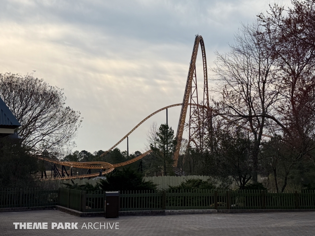 Pantherian at Kings Dominion