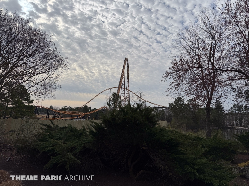 Jungle X Pedition at Kings Dominion