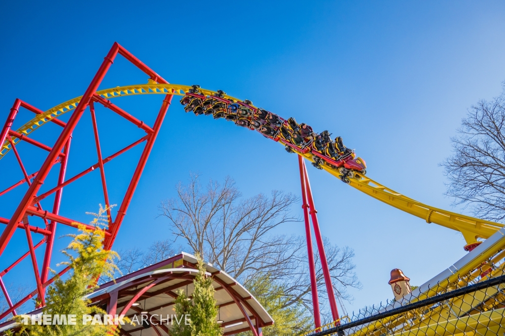 THE FLASH Vertical Velocity at Six Flags Great Adventure