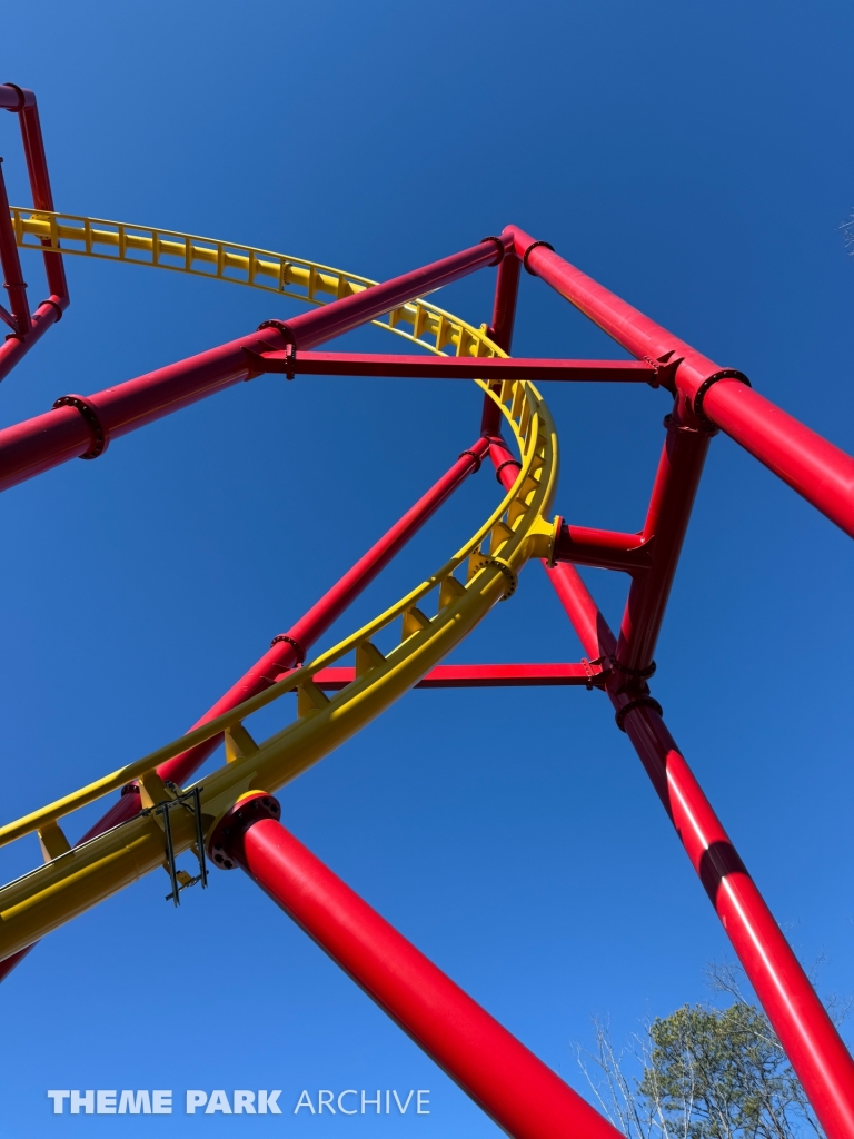 THE FLASH Vertical Velocity at Six Flags Great Adventure