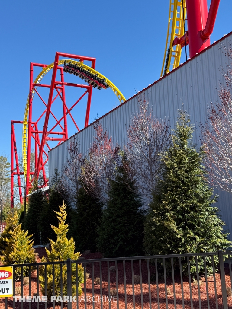 THE FLASH Vertical Velocity at Six Flags Great Adventure