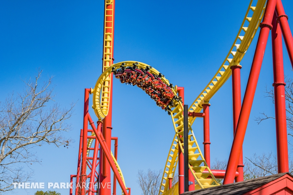 THE FLASH Vertical Velocity at Six Flags Great Adventure