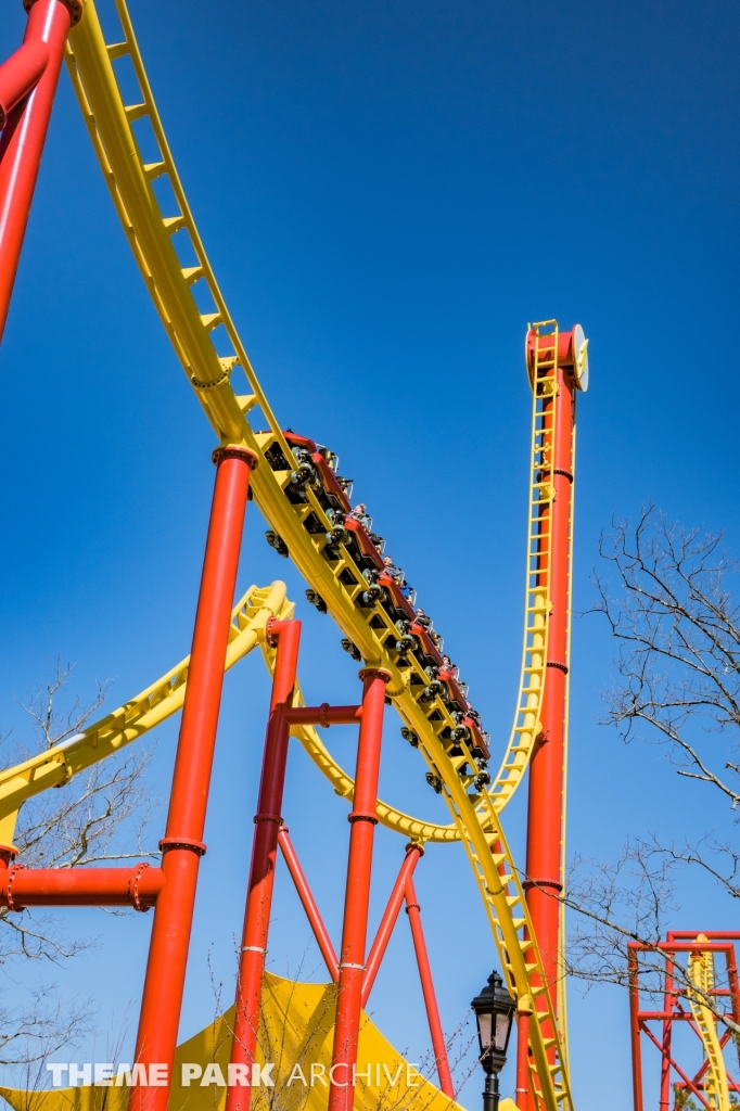 THE FLASH Vertical Velocity at Six Flags Great Adventure