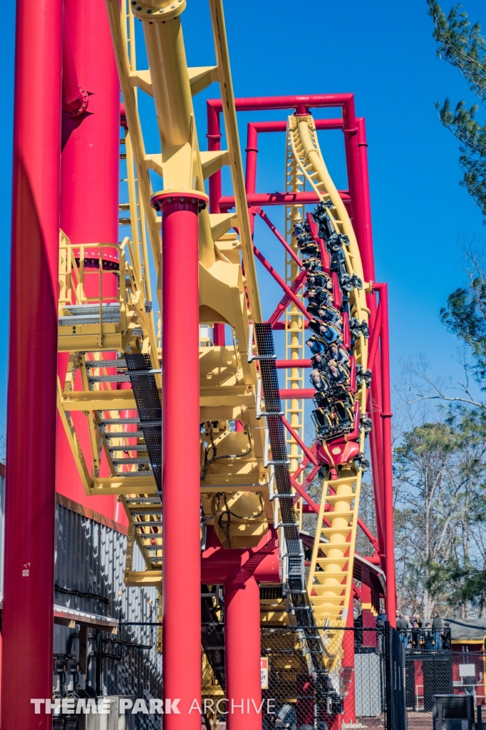 THE FLASH Vertical Velocity at Six Flags Great Adventure
