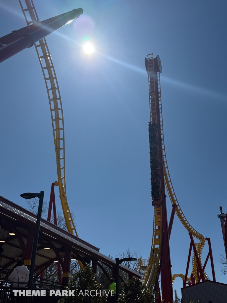 THE FLASH Vertical Velocity at Six Flags Great Adventure