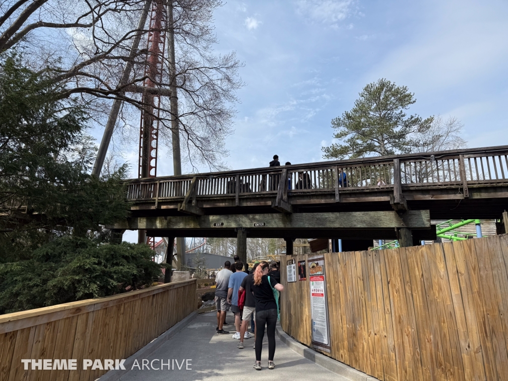 Georgia Gold Rusher at Six Flags Over Georgia