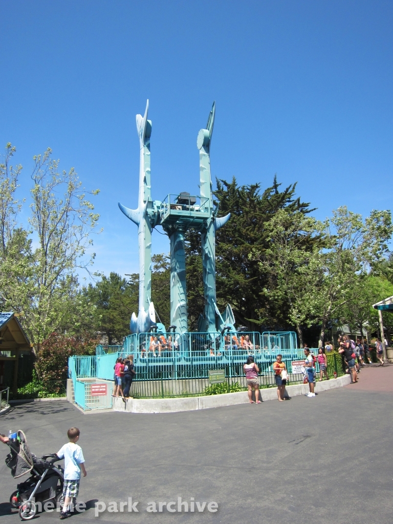 Hammerhead Shark at Six Flags Discovery Kingdom