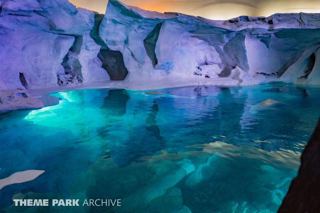 Wild Arctic at SeaWorld Orlando