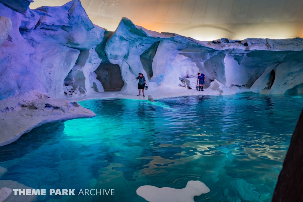 Wild Arctic at SeaWorld Orlando