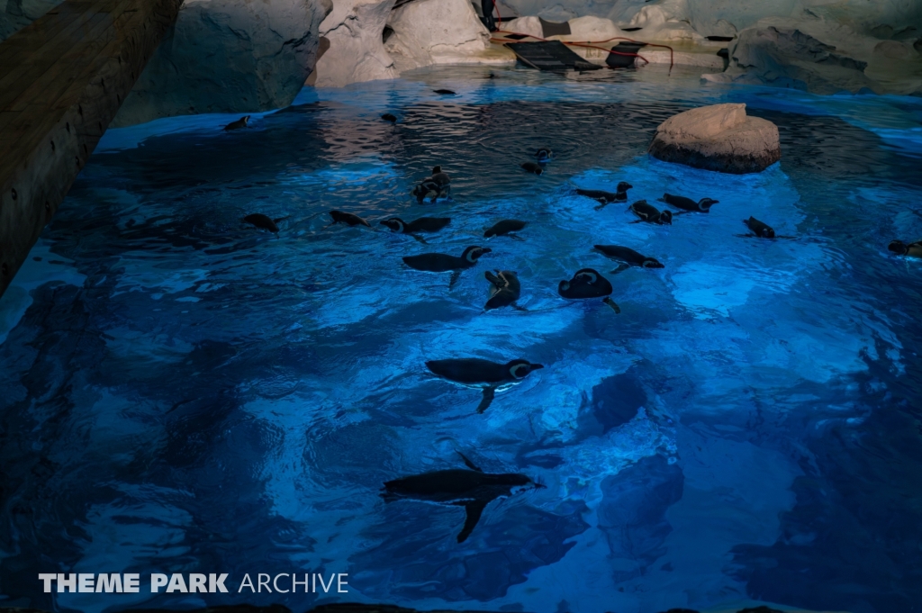 Wild Arctic at SeaWorld Orlando